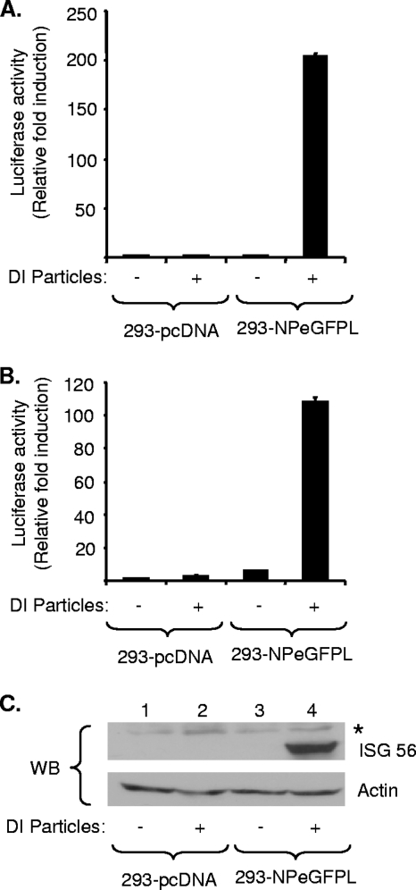 FIG. 4.