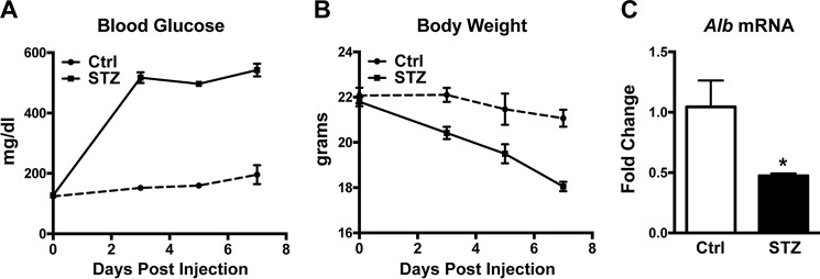 FIGURE 1.