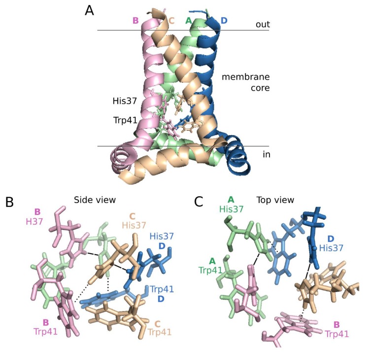 Figure 5