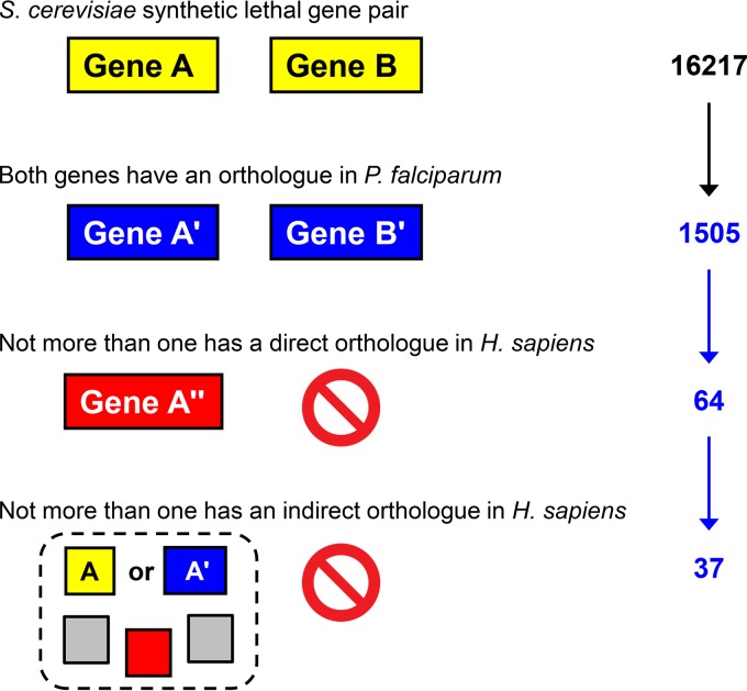 FIG 1