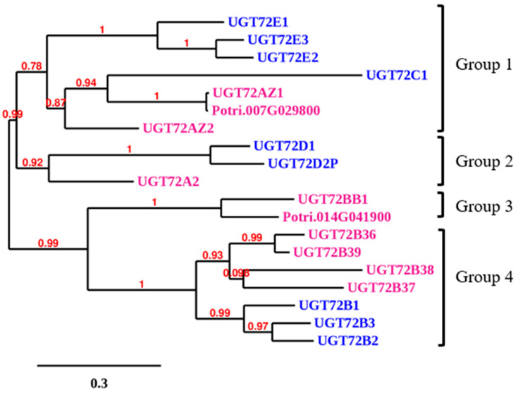 Figure 2