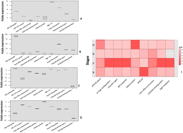 Figure 6 