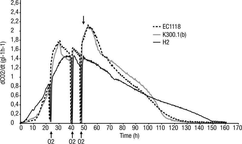 FIG 5