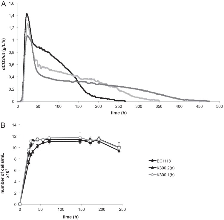 FIG 3