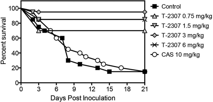 FIG 2