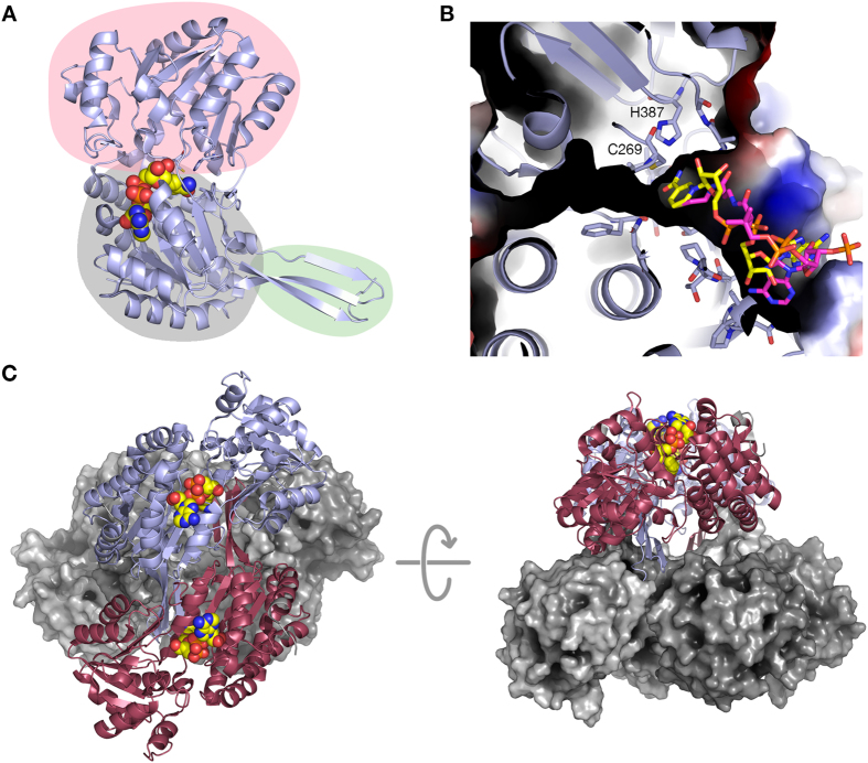 Figure 2