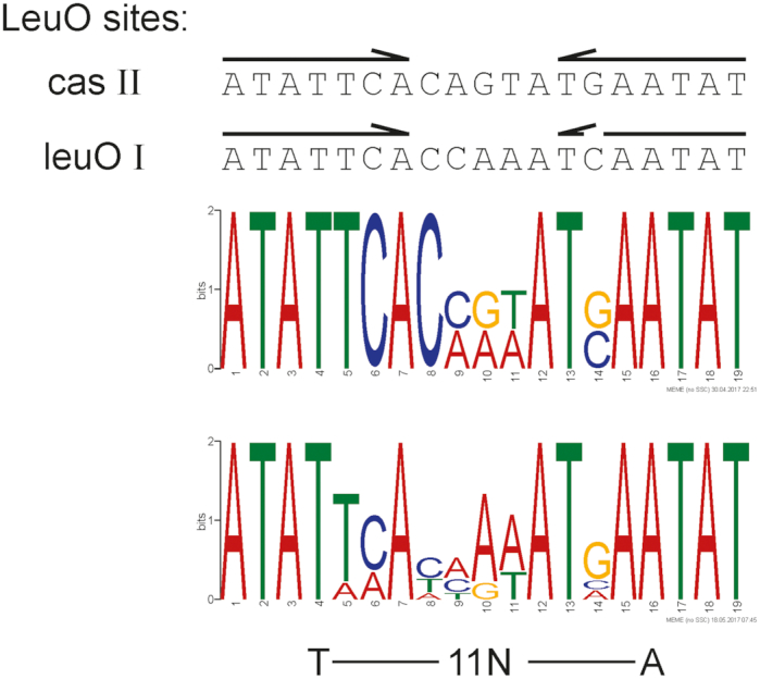 Figure 5.