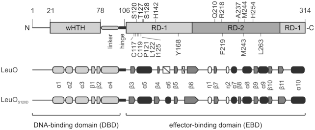 Figure 1.