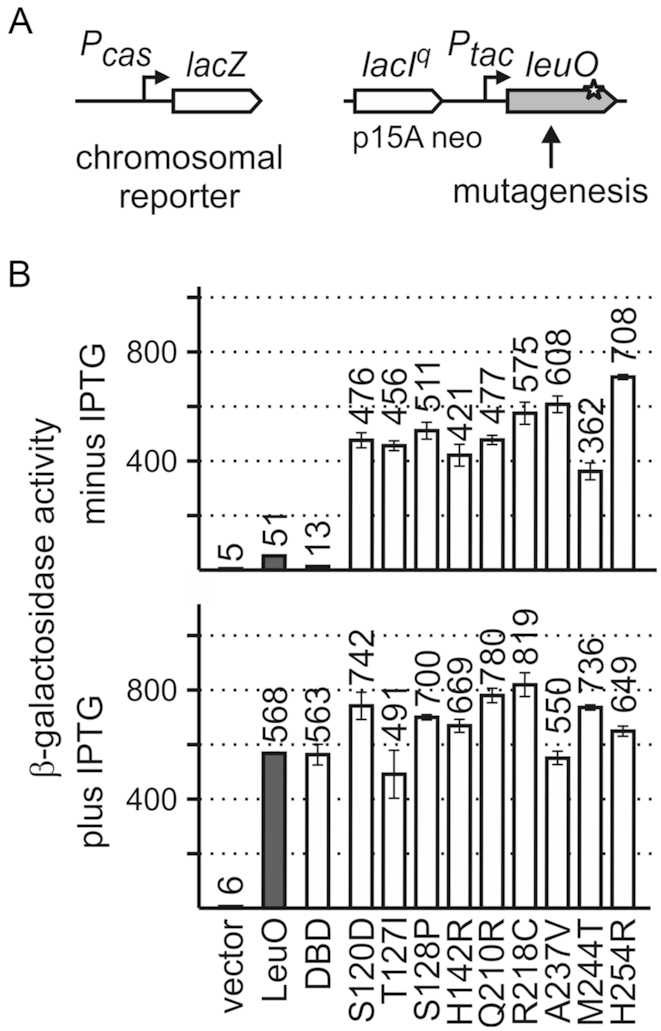 Figure 2.