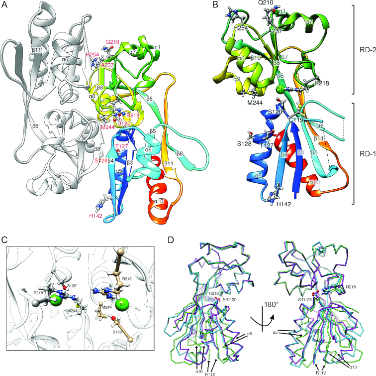 Figure 3.