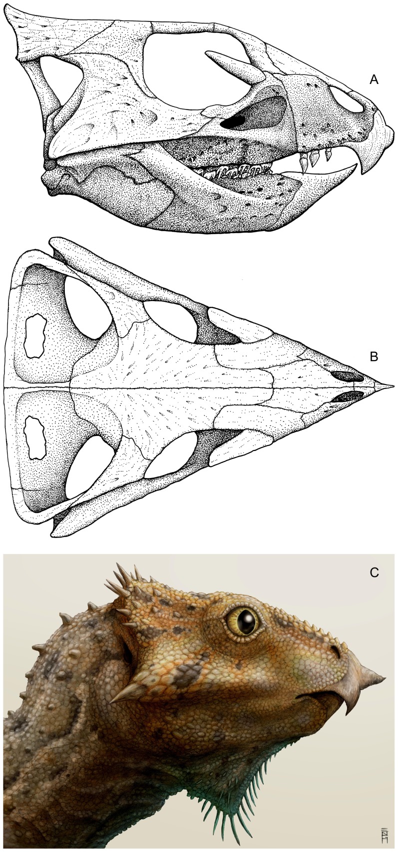 Figure 6