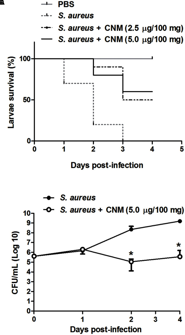 FIGURE 3