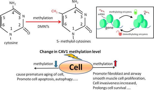 FIGURE 4