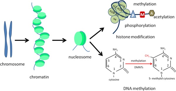 FIGURE 3