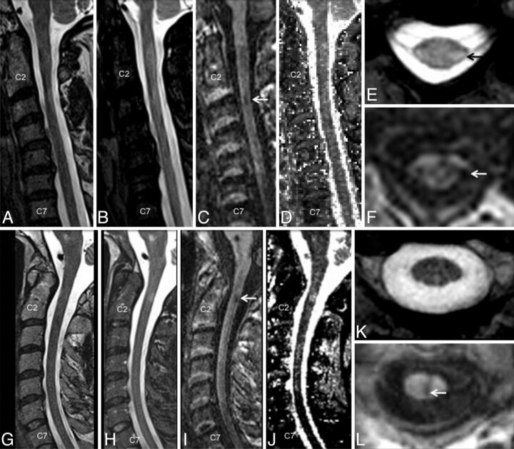 Fig 1.