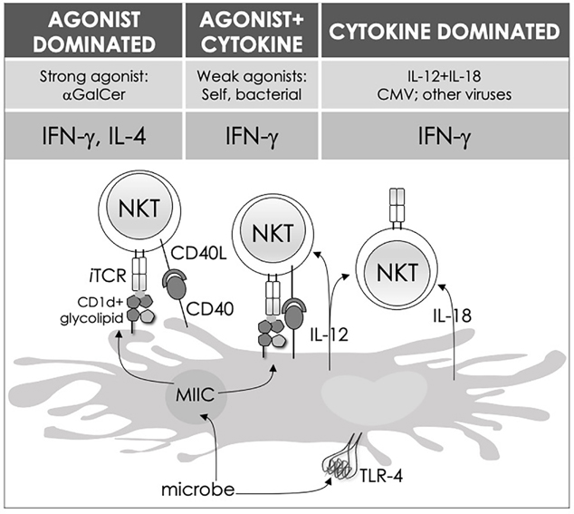 FIG. 3: