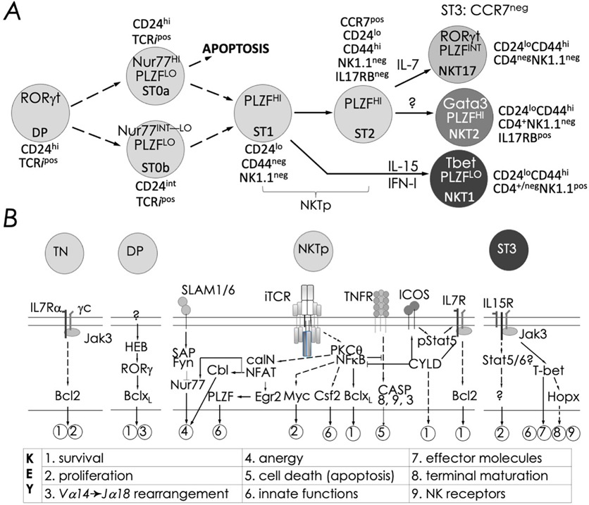 FIG. 7: