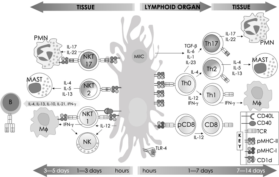 FIG. 5: