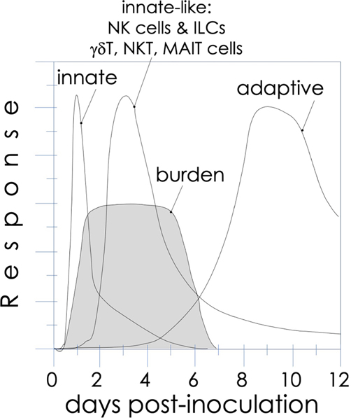 FIG. 1: