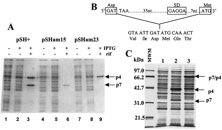 FIG. 3.