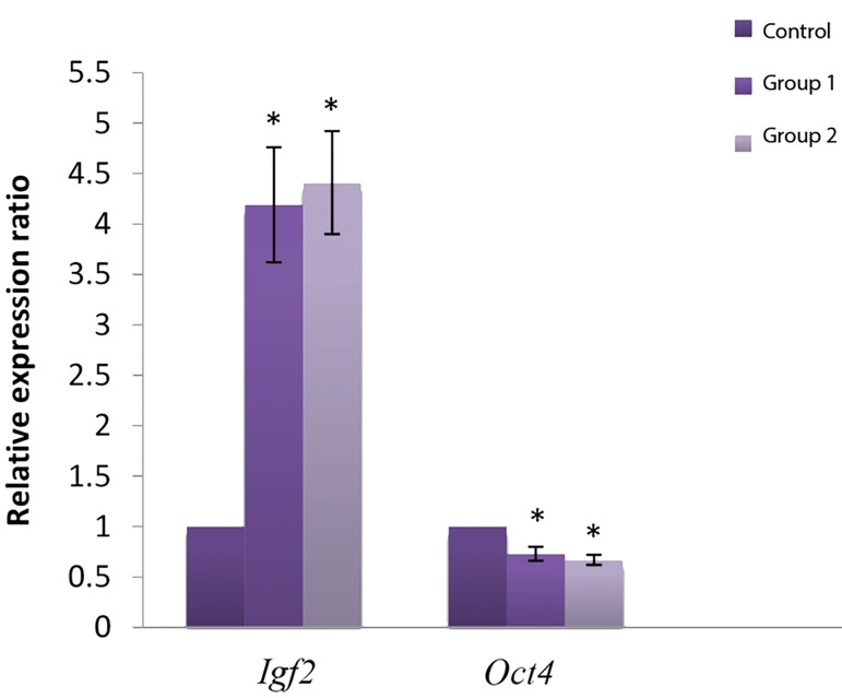 Fig.1