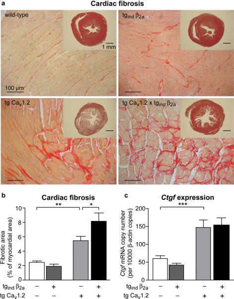 Figure 6