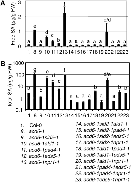 Figure 4 