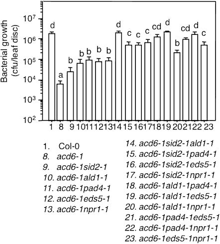 Figure 6 