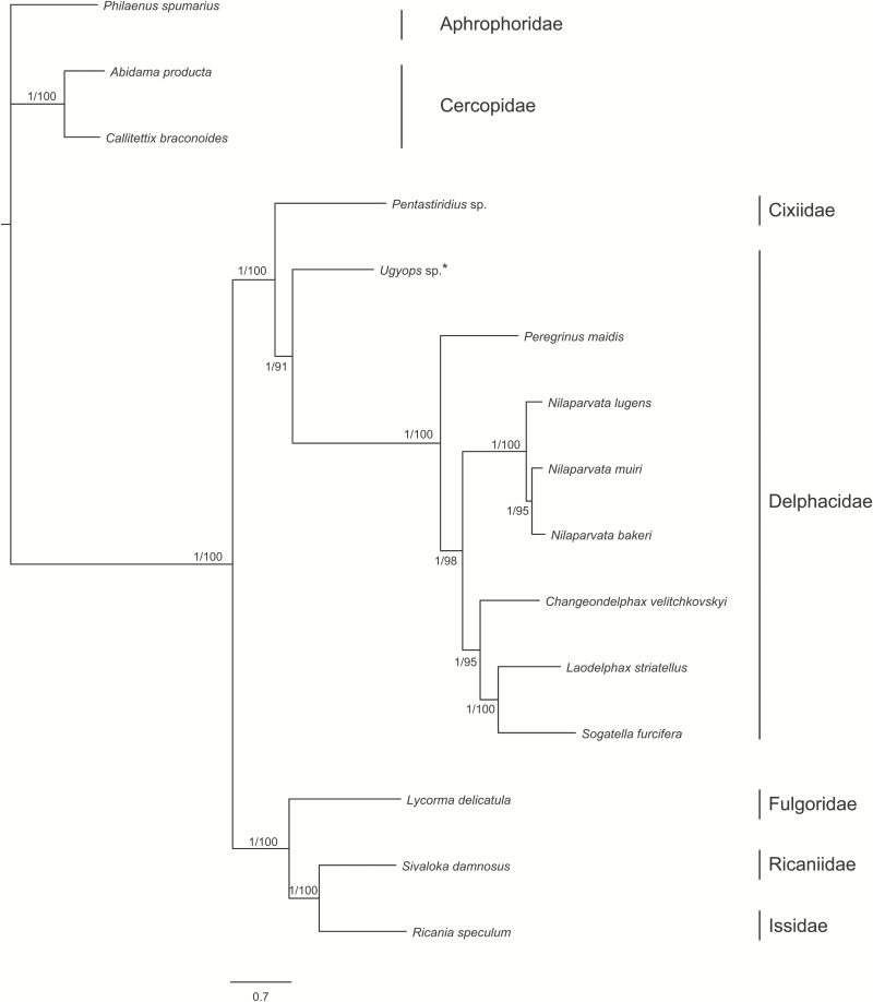 Fig. 10.