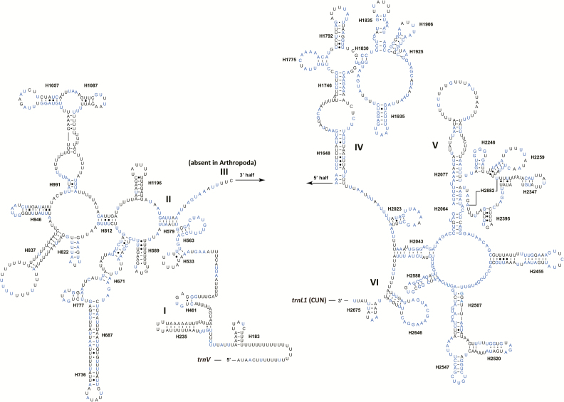 Fig. 5.