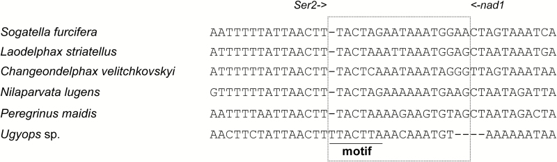 Fig. 8.