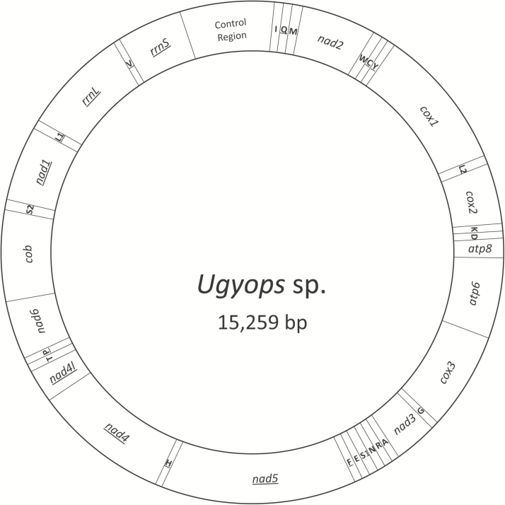 Fig. 1.