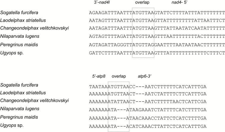 Fig. 7.