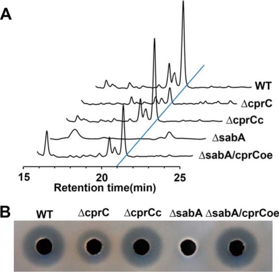 Figure 6.