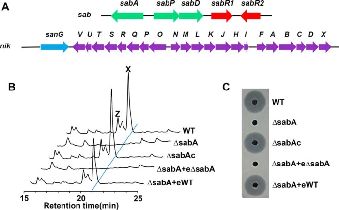 Figure 1.