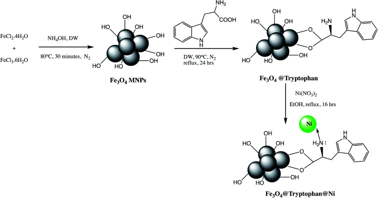 Scheme 3