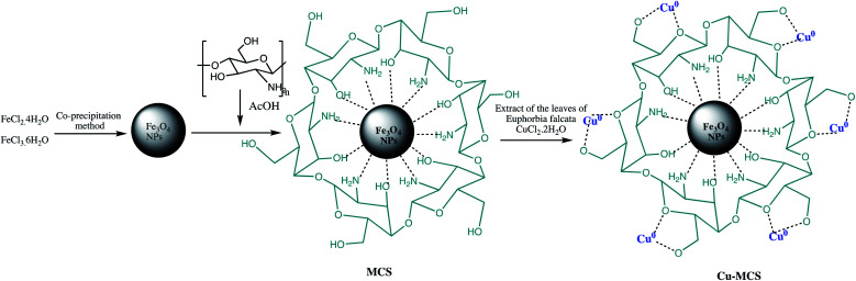 Scheme 15