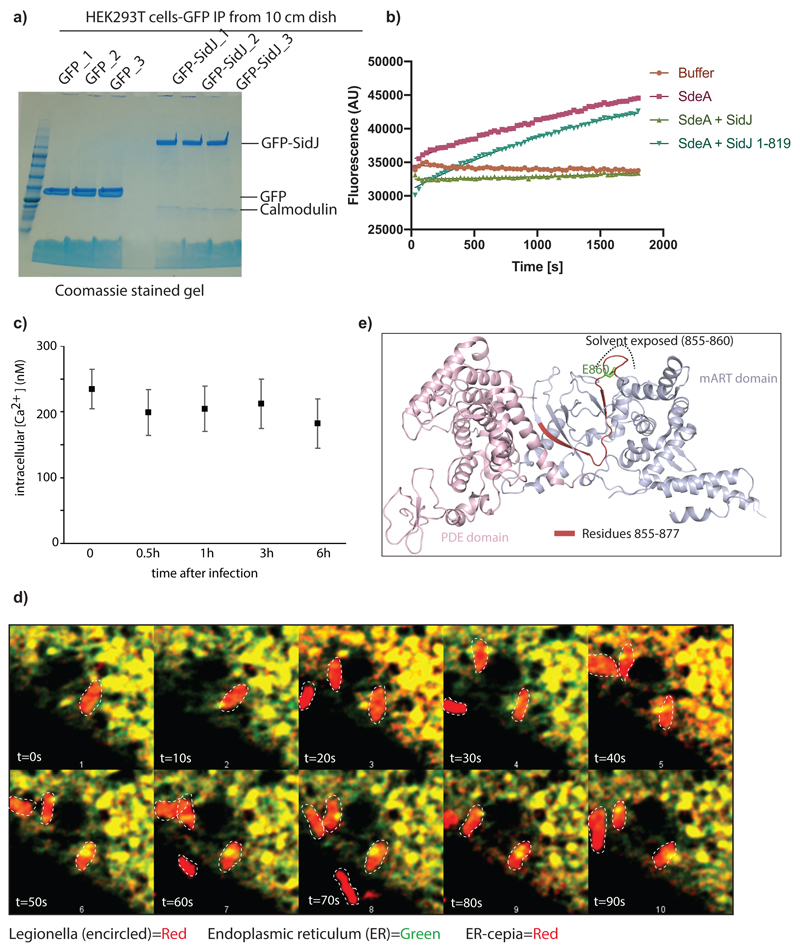 Extended data Fig. 2