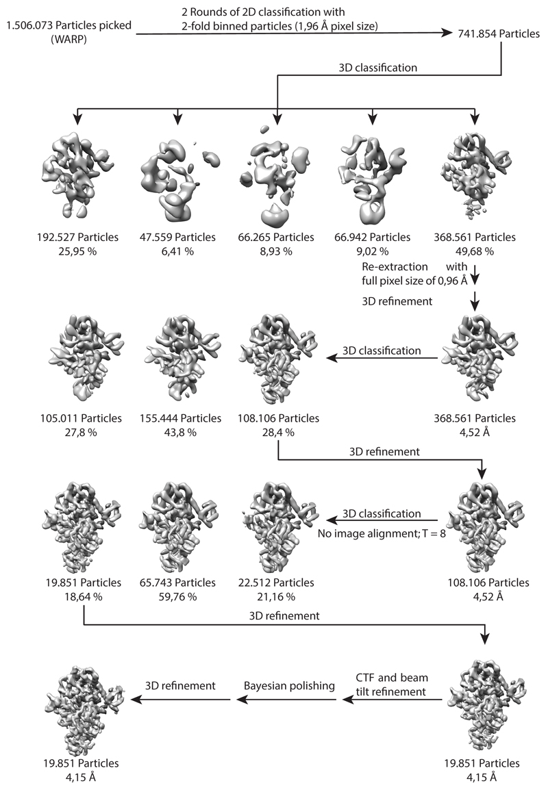 Extended data Fig. 7