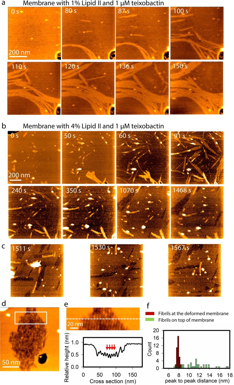 Extended Data Fig. 5