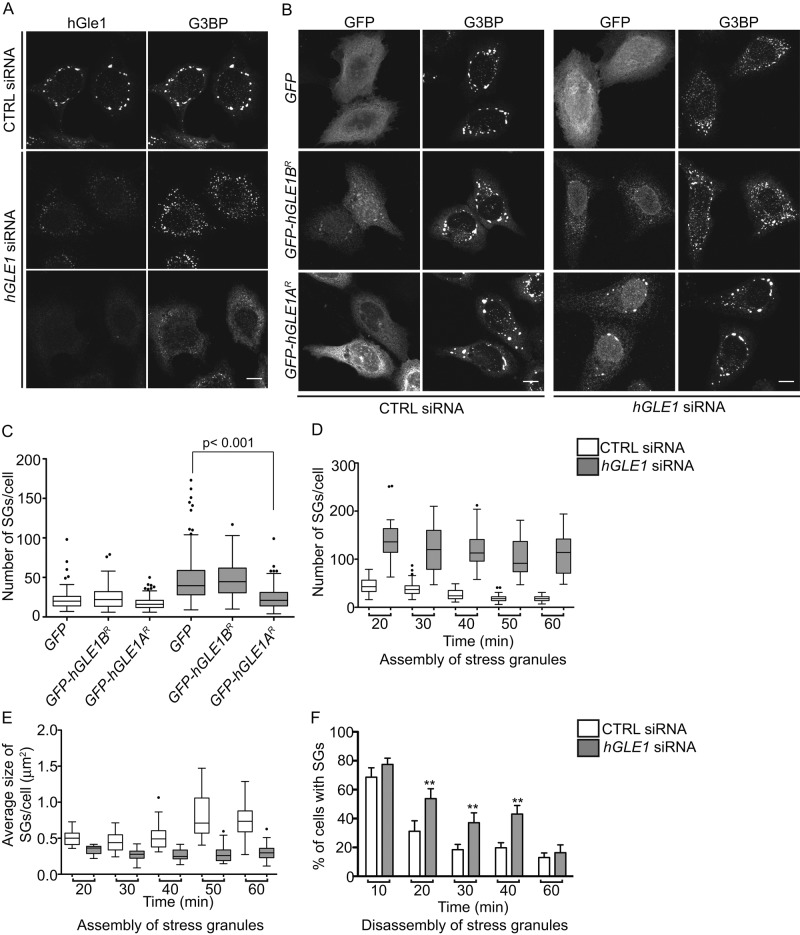 FIGURE 3: