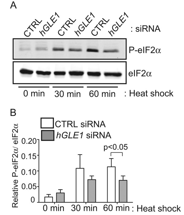 FIGURE 6: