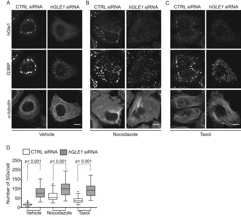 FIGURE 4: