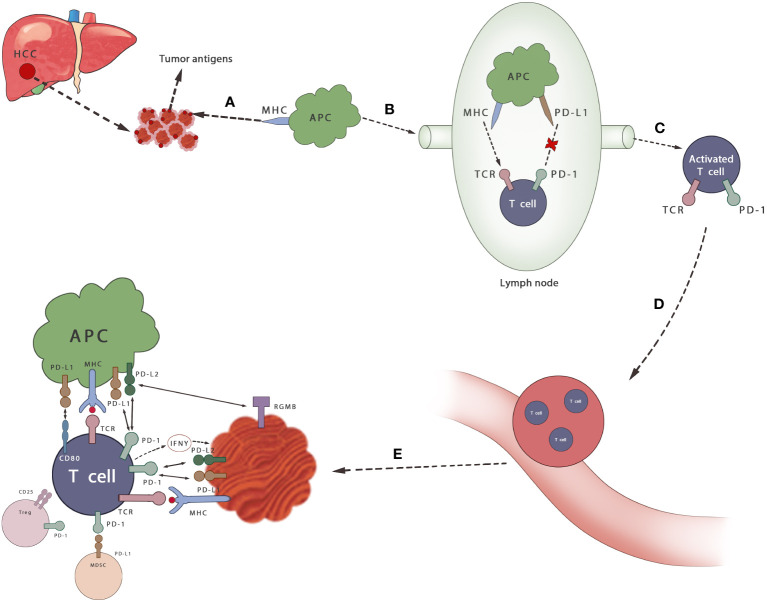 Figure 2