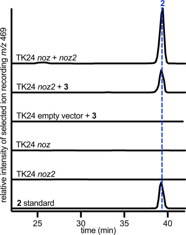 Fig. 2