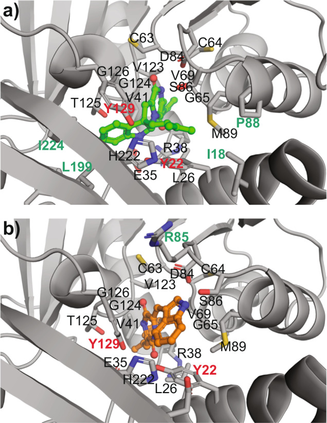 Fig. 8