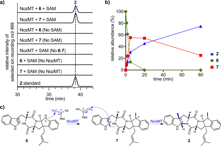 Fig. 7