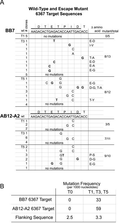 FIG. 5.