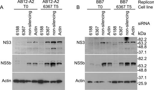 FIG. 4.