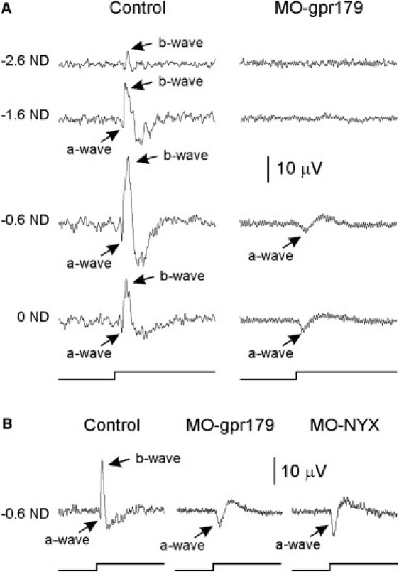 Figure 4